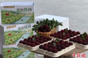 命格匹配高速赋能产业升级：一条“杨梅路”的致富密码